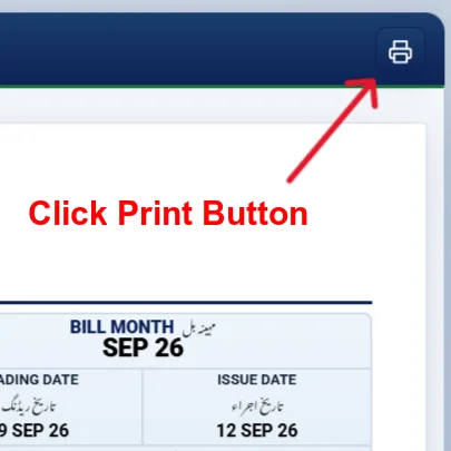 lesco bill check online